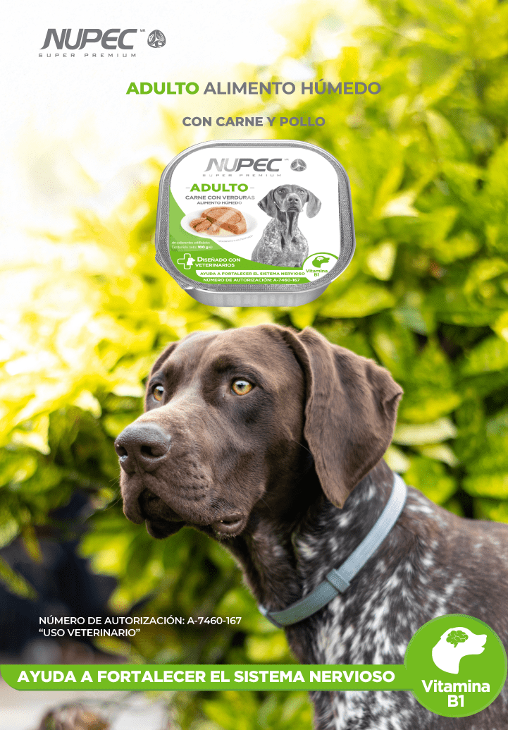 CT8441 1 Pieza De Alimento Humedo Adulto De Carne Con Verduras