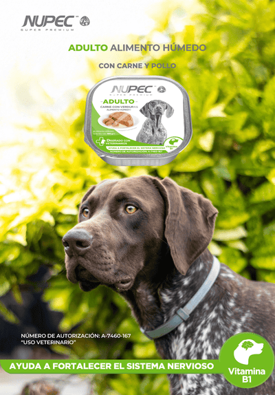 CT8441 1 Pieza De Alimento Humedo Adulto De Carne Con Verduras