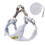 CT8576 1 Pieza De Pechera Con Correa Para Mascota