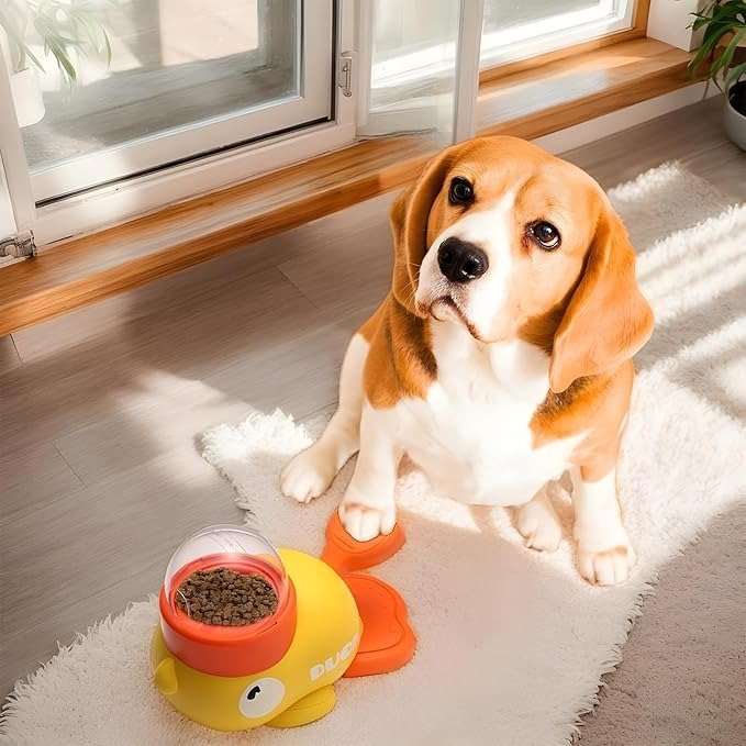 CT9023 1 Pieza De Juguete Dispensador De Alimento Para Mascota