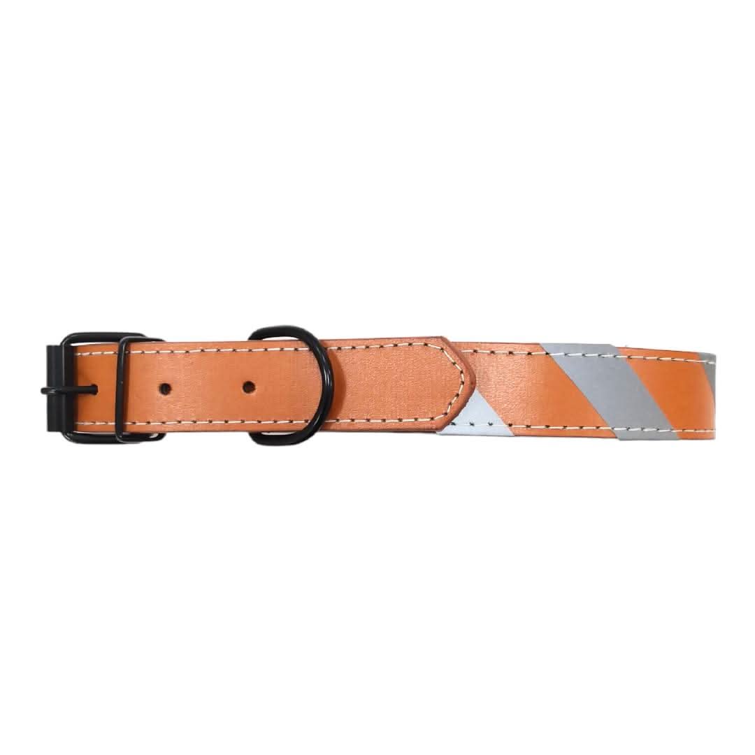 CT9260 1 Pieza De Collar Para Mascota