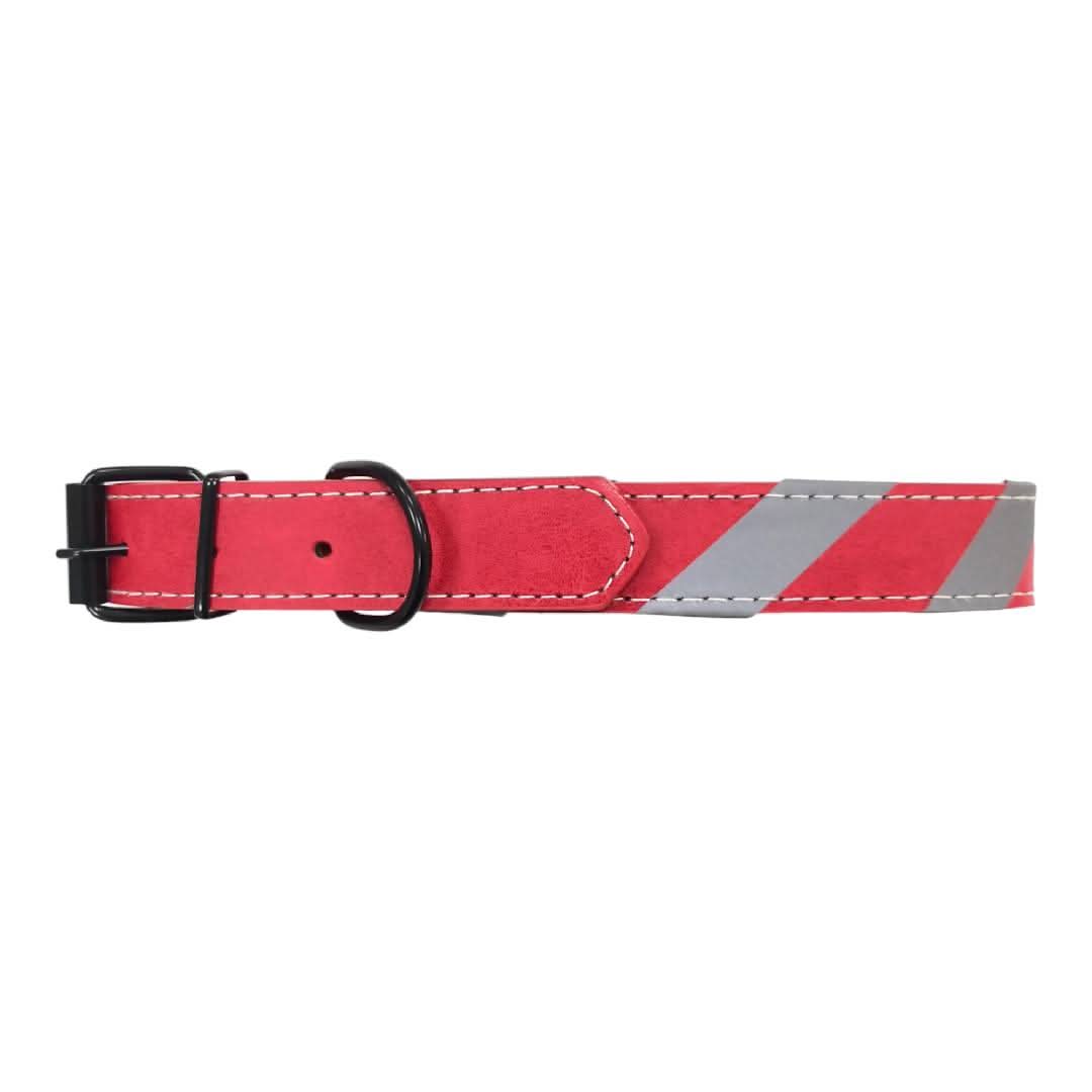 CT9260 1 Pieza De Collar Para Mascota