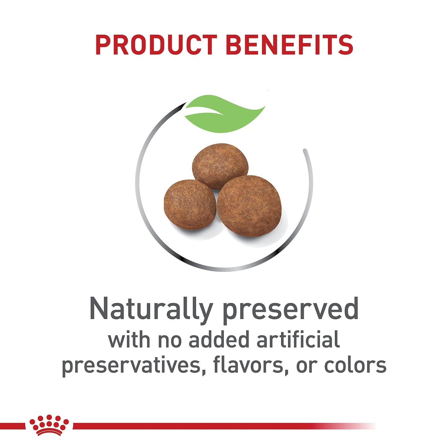 CT9286 1 Pieza De Alimento Puppy Tamaño Grande