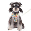 CT9290 1 Pieza De Pechera Con Correa Para Mascota