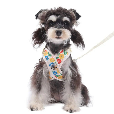 CT9290 1 Peza De Pechera Con Correa Para Mascota