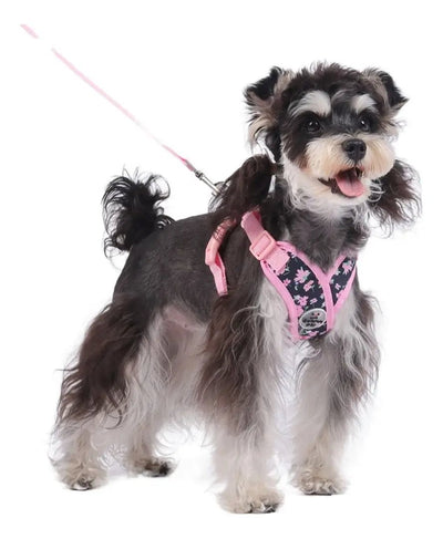 CT9290 1 Pieza De Pechera Con Correa Para Mascota