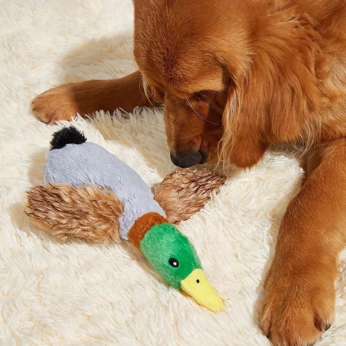 CT9566 1 Pieza De Juguete Para Mascota