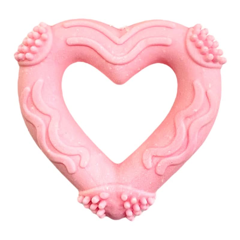 CT9758 1 Pieza De Juguete Para Mascotas