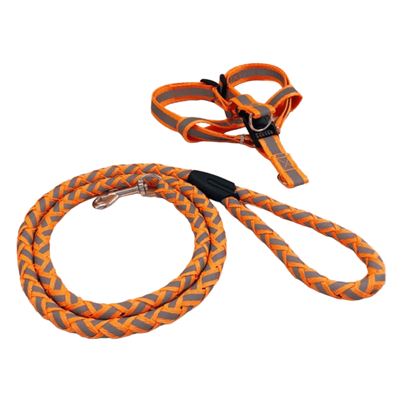 CT9854 1 Pieza Correa & 1 Pieza Pechera/Arnés Reflejante