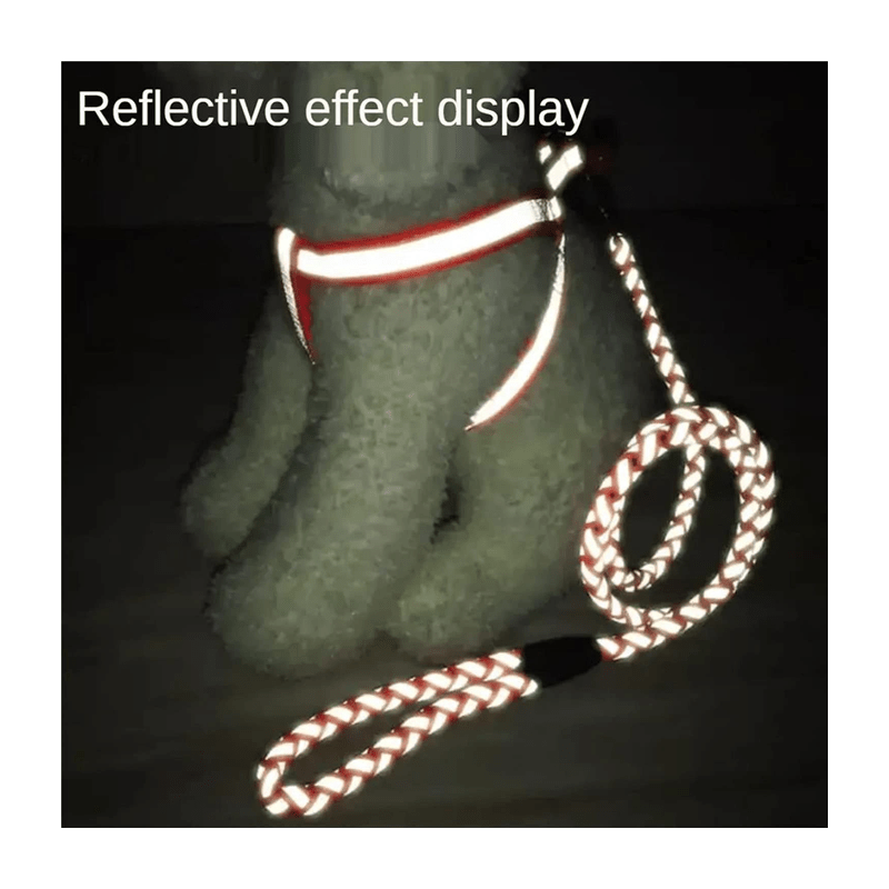 CT9854 1 Pieza Correa & 1 Pieza Pechera/Arnés Reflejante