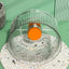 CT9864 1 Pieza De Juguete Para Hamster