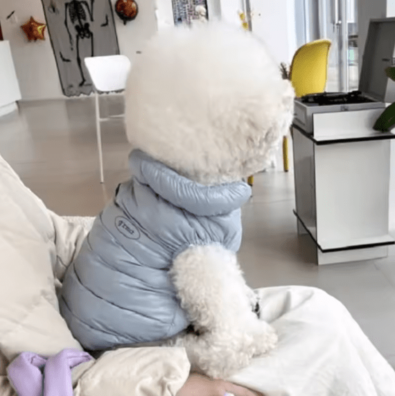 CT9875 1 Pieza De Ropa De Invierno Para Mascota