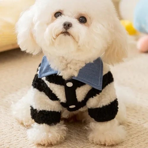 CT9881 1 Pieza De Ropa De Invierno Para Masocta