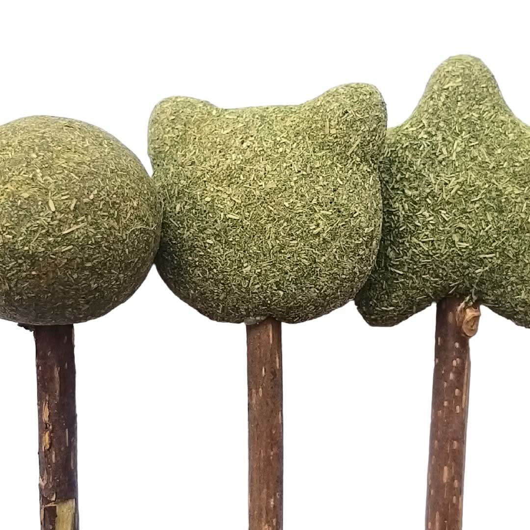 CT9908 1 Pieza Juguete Con Catnip De Figuras Para Mascota