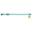 CT9997 1 Pieza De Collar Con Placa Para Mascota