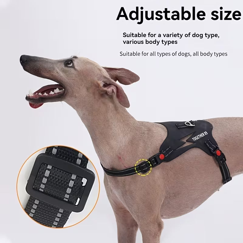 CT6923 1 Pieza De Pechera Para Mascota