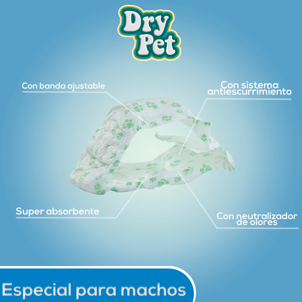 FL1921 1 Paquete De 12 Pieza De Pañal Ch Para Macho