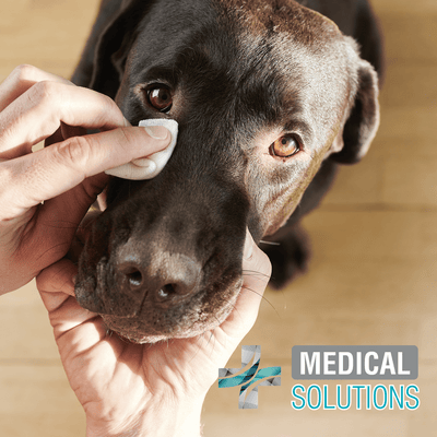 FL3926 1 Bote De 80 Pzs De Toallitas Limpiadoras Para Ojos