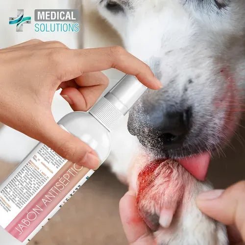 FL3934 1 Pieza De Jabon Antiseptico En Spray Para Mascotas
