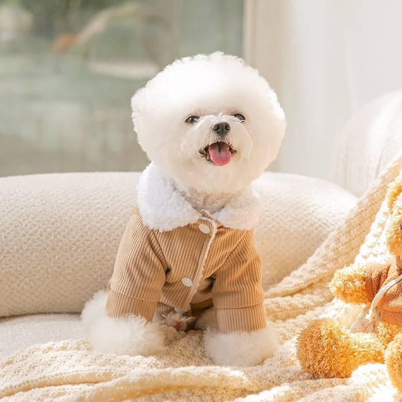 CT9878 1 Pieza De Ropa De Invierno Para Mascota