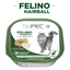 CT8438 1 Pieza De Alimento Humedo Con Pescado