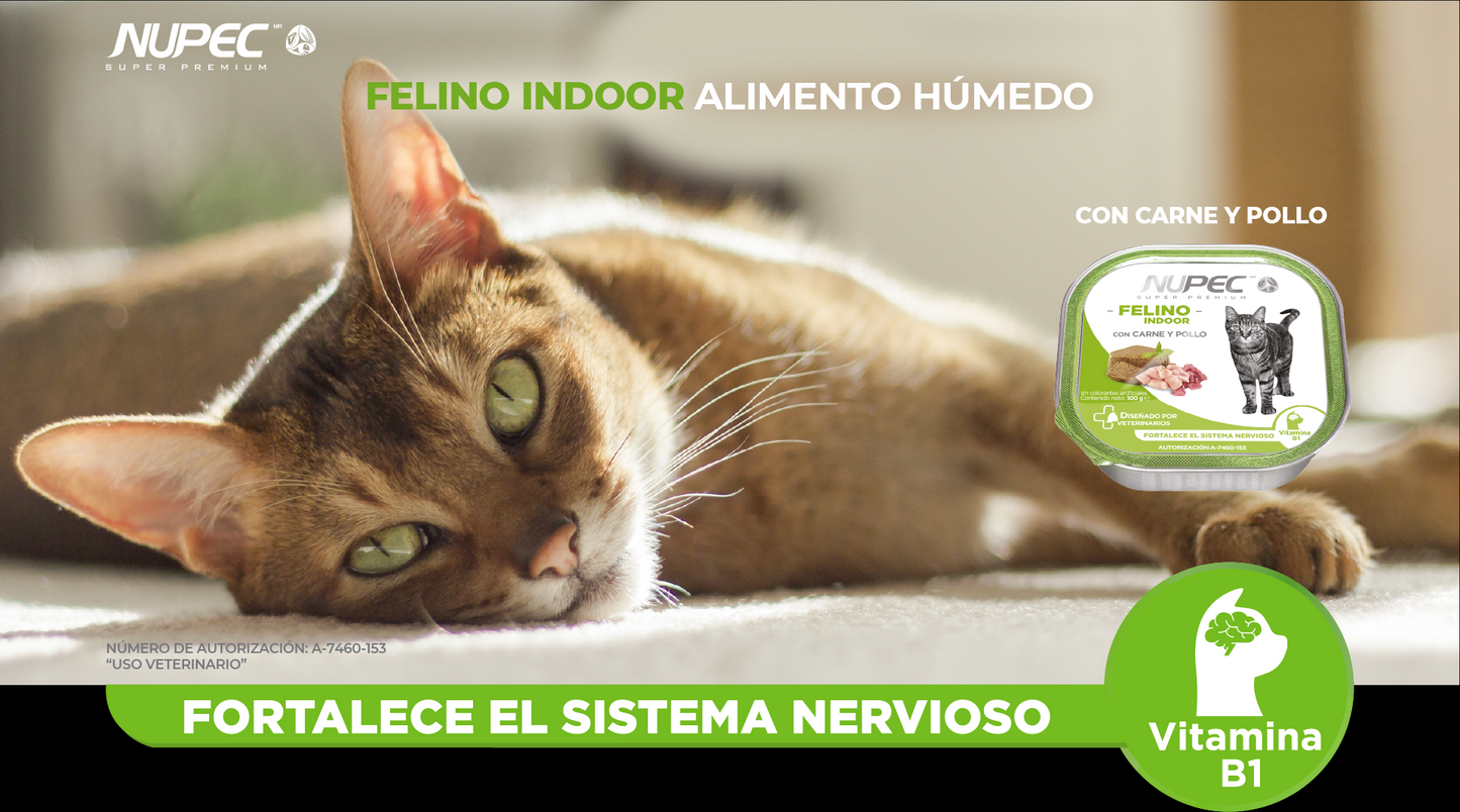 CT8436 1 Pieza De Alimento Humedo Felino Indoor Carne y Pollo