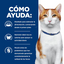 CT5819 1 Pieza De Estofado De Pollo y Vegetales Para Gato