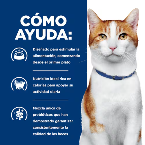 CT5819 1 Pieza De Estofado De Pollo y Vegetales Para Gato