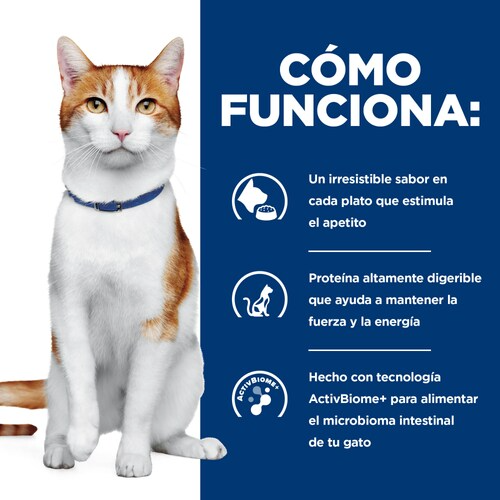 CT5819 1 Pieza De Estofado De Pollo y Vegetales Para Gato
