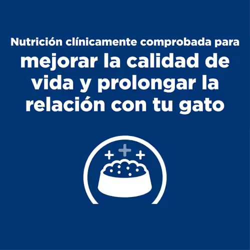CT4530 1 Pieza De Alimento Cuidado De Riñon Para Gato