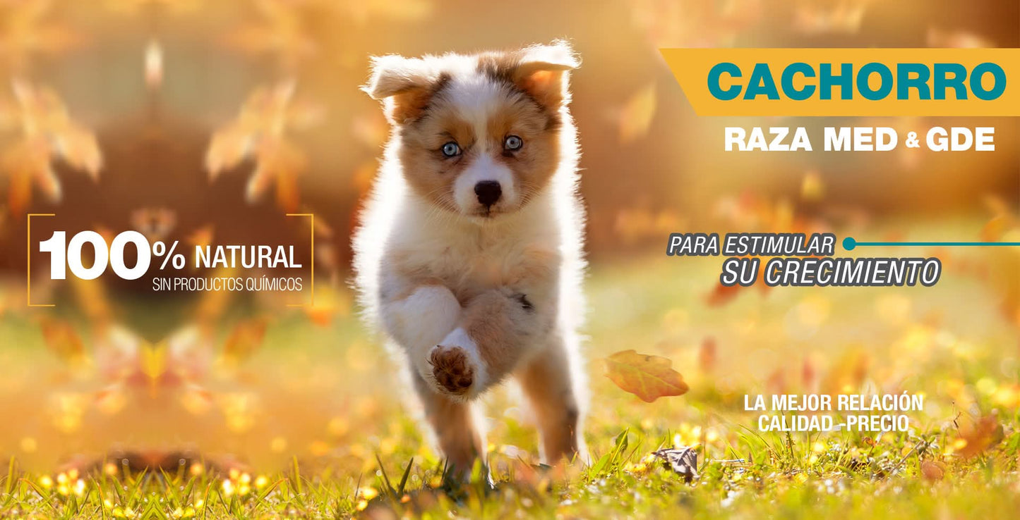 PS1814 1 Pieza De 8 Kg De Alimento Premium Cachorro MLB