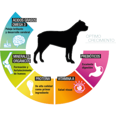 PS1815 1 Pieza De 15 Kg De Alimento Premium Cachorro MLB