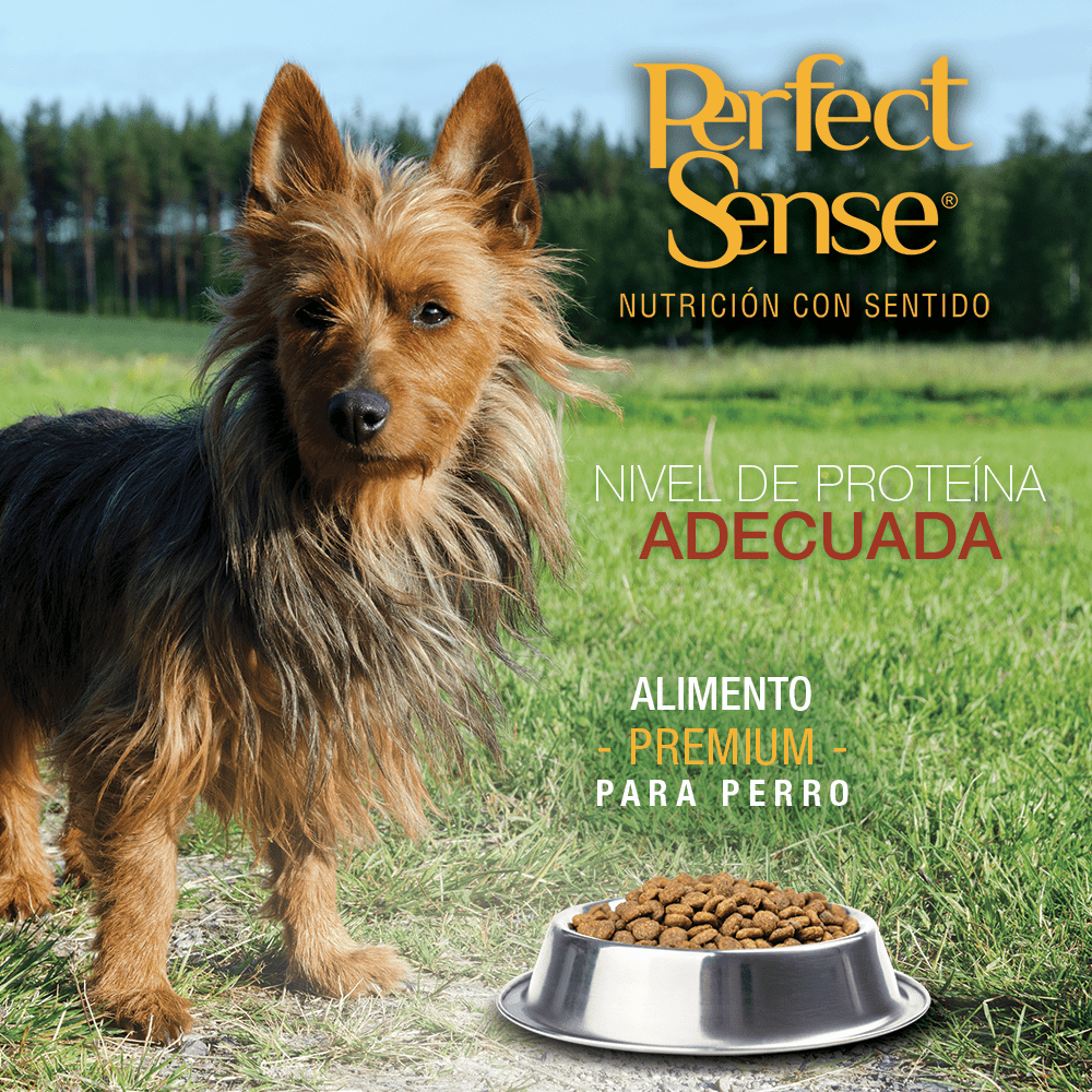 PS1822 1 Pieza De 3 Kg De Alimento Premium Adulto Raza Chica