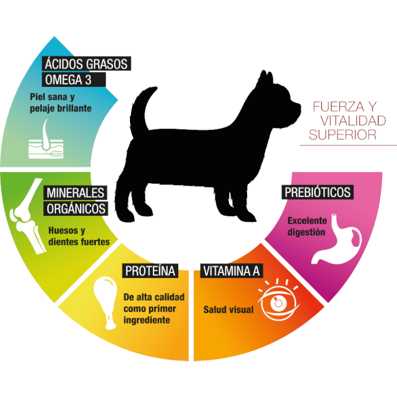 PS1822 1 Pieza De 3 Kg De Alimento Premium Adulto Raza Chica