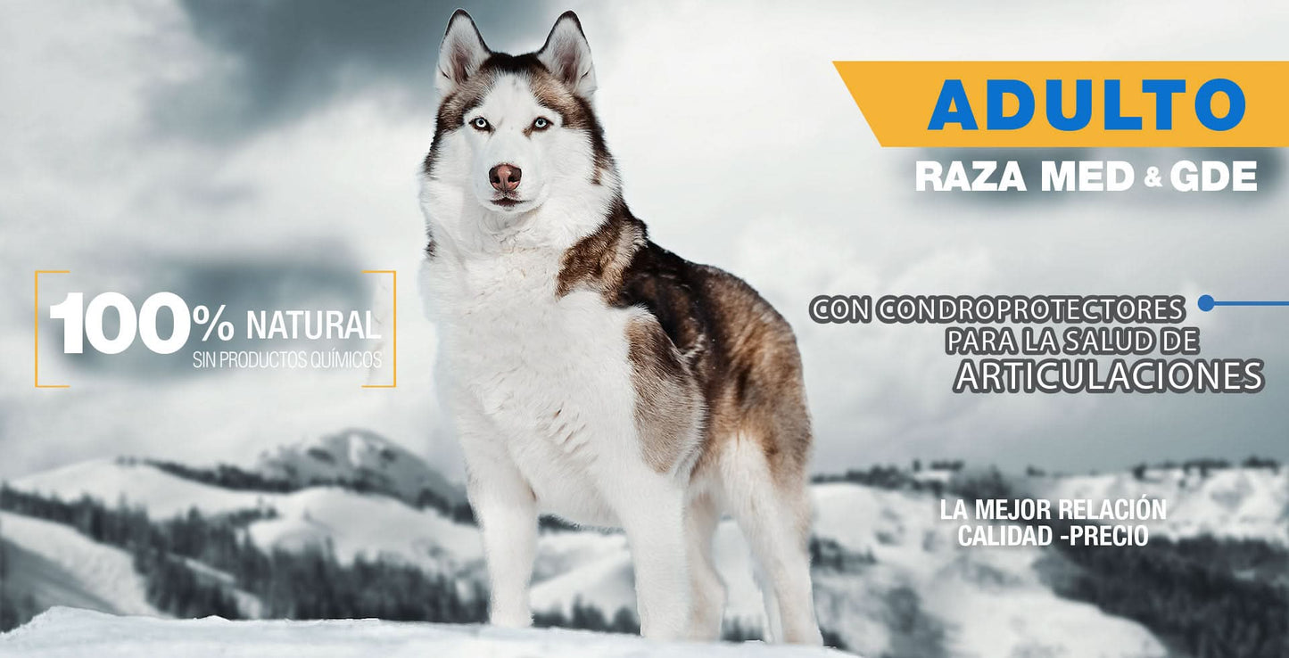 PS1834 1 Pieza De 8 Kg De Alimento Premium Adulto MLB