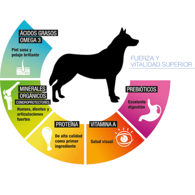 PS1834 1 Pieza De 8 Kg De Alimento Premium Adulto MLB