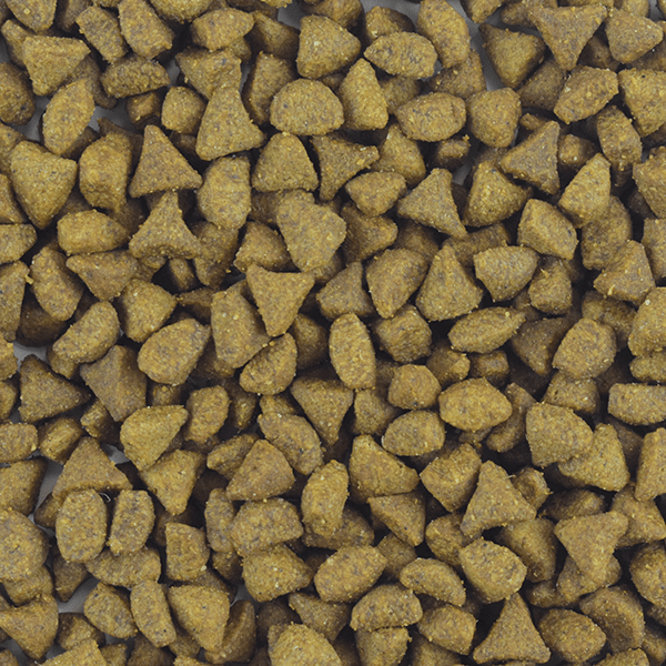 PS1872 1 Pieza De 3 Kg De Alimento Premium Gato Adulto