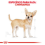 CT1181 1 Pieza De Alimento Chihuahua Adulto