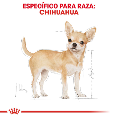 CT1181 1 Pieza De Alimento Chihuahua Adulto