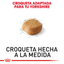 CT5141 1 Pieza De Alimento Para Yorkshire Terrier Adulto