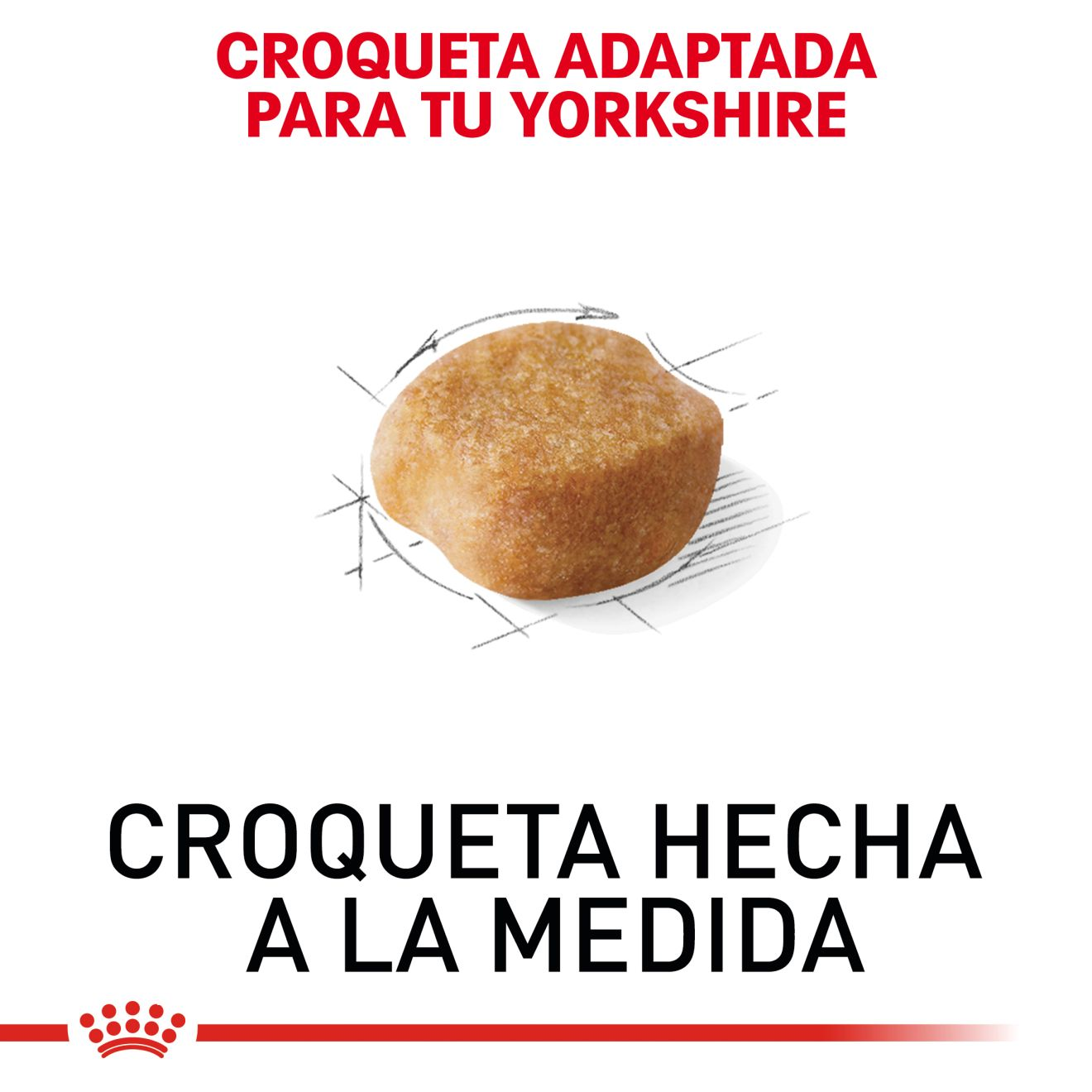 CT5141 1 Pieza De Alimento Para Yorkshire Terrier Adulto