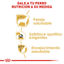 CT5141 1 Pieza De Alimento Para Yorkshire Terrier Adulto