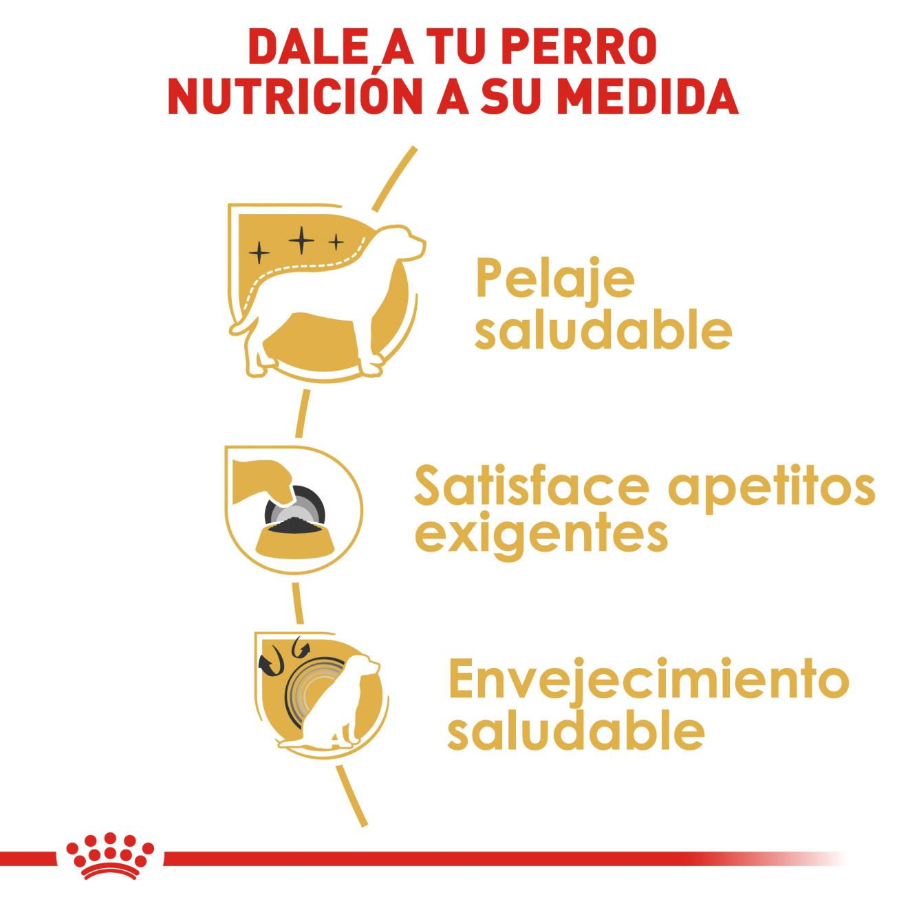 CT5141 1 Pieza De Alimento Para Yorkshire Terrier Adulto