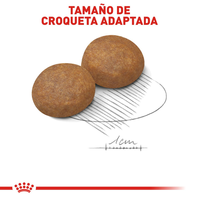 CT1747 1 Pieza De Alimento Para Raza Mediana Adulta