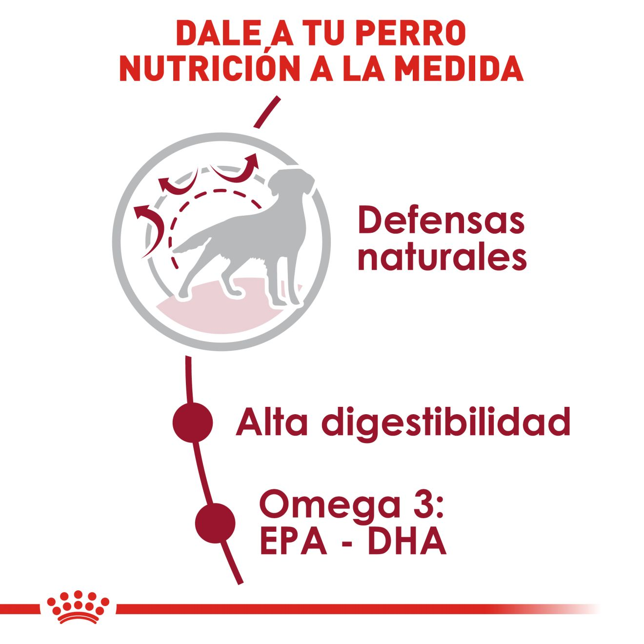CT1747 1 Pieza De Alimento Para Raza Mediana Adulta