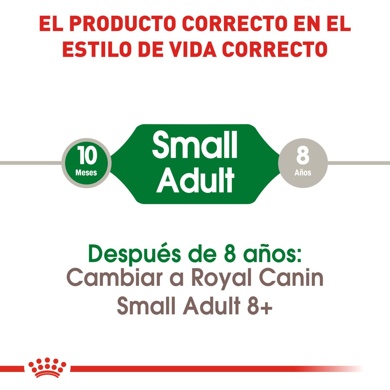 CT1251 1 Pieza De Alimento Para Raza Pequeña Adulto
