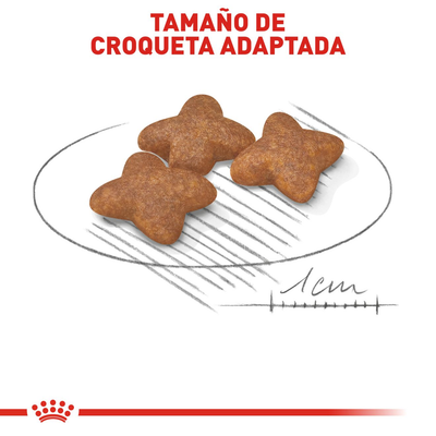 CT1251 1 Pieza De Alimento Para Raza Pequeña Adulto