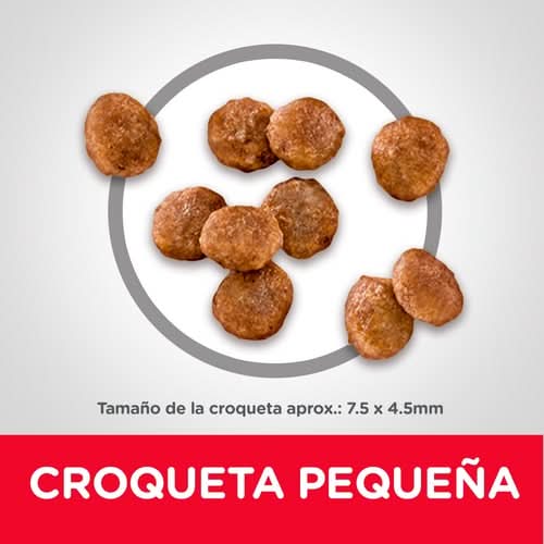 CT0970 1 Pieza De Alimento Dieta Cientifica Para Pequeños Y Minis