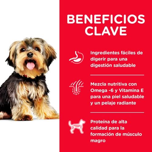 CT0970 1 Pieza De Alimento Dieta Cientifica Para Pequeños Y Minis