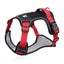 CT7608 1 Pieza De Pechera Para Perro